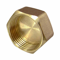 Латунная заглушка TIM 1 1/2&quot; внутренняя резьба,GM006